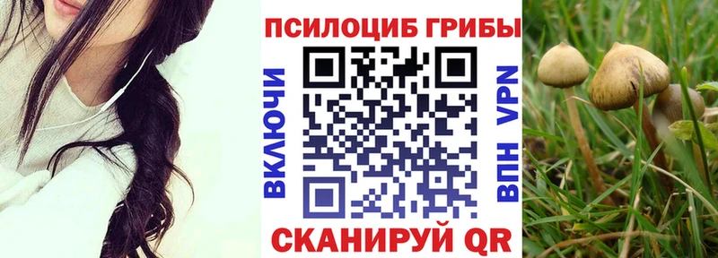 Галлюциногенные грибы мухоморы  закладки  Сафоново 